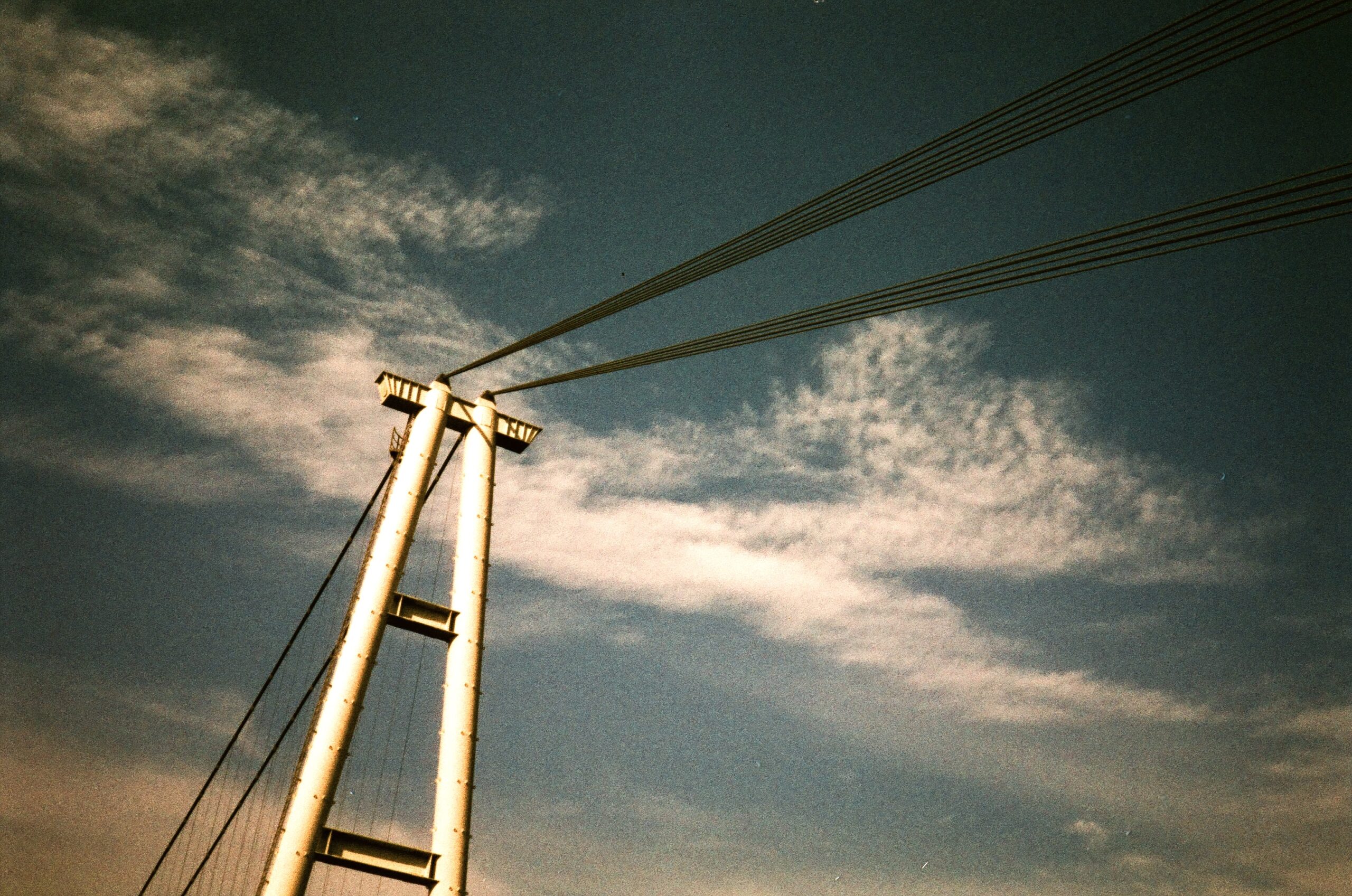 250529